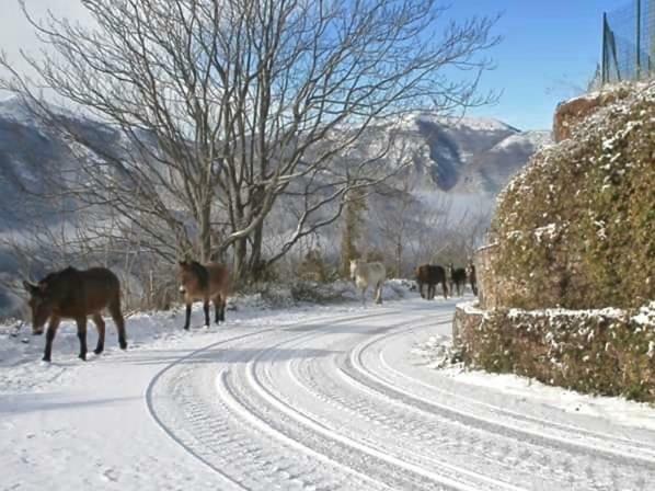 Le Case dell'Arco – Monte San Vito Villa Scheggino Esterno foto